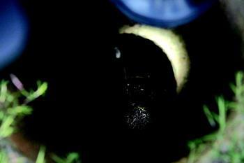 濟(jì)寧地震局否認(rèn)井水“開(kāi)鍋”系地震前兆:自然現(xiàn)象